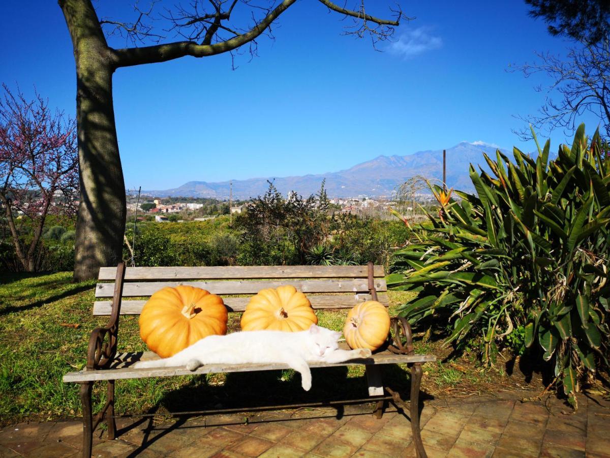 Saja Country House Villa Acireale Exterior photo